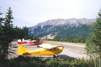 N4310E: 1948 Aeronca 11CC at Denali National Park, Alaska