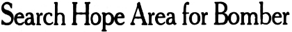 Headline: Search Hope Area for Bomber, 1945