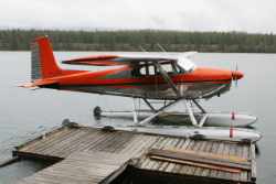 C-FDAR: Cessna 180D