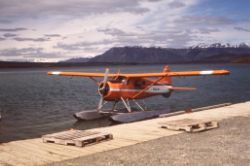 C-GAEE - de Havilland DHC-2 Mk. I (L20A) Beaver