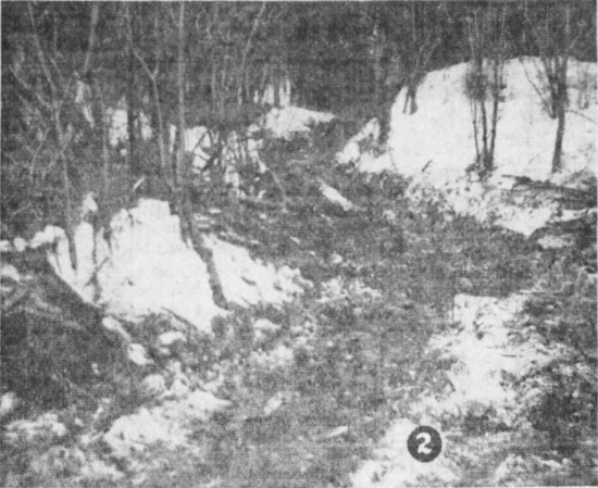 Building a cat road to Fort Nelson, BC, 1941