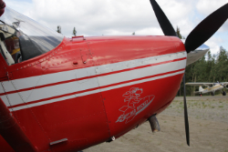 N3382S: Cessna A185F