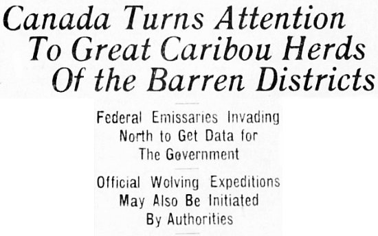 Canada Turns Attention To Great Caribou Herds Of the Barren Districts, 1924