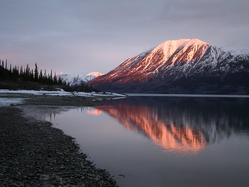 A Spring morning on Lake Bennett.