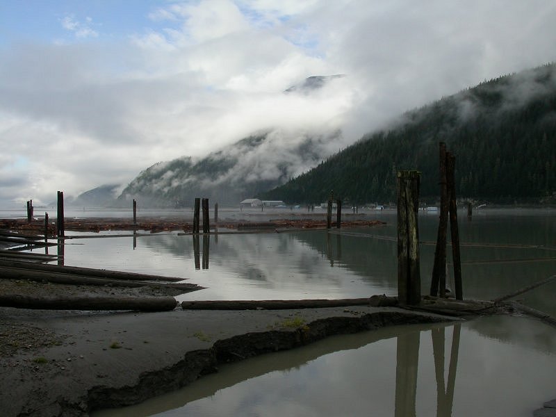 A photo of 