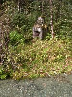 Stewart, British Columbia
