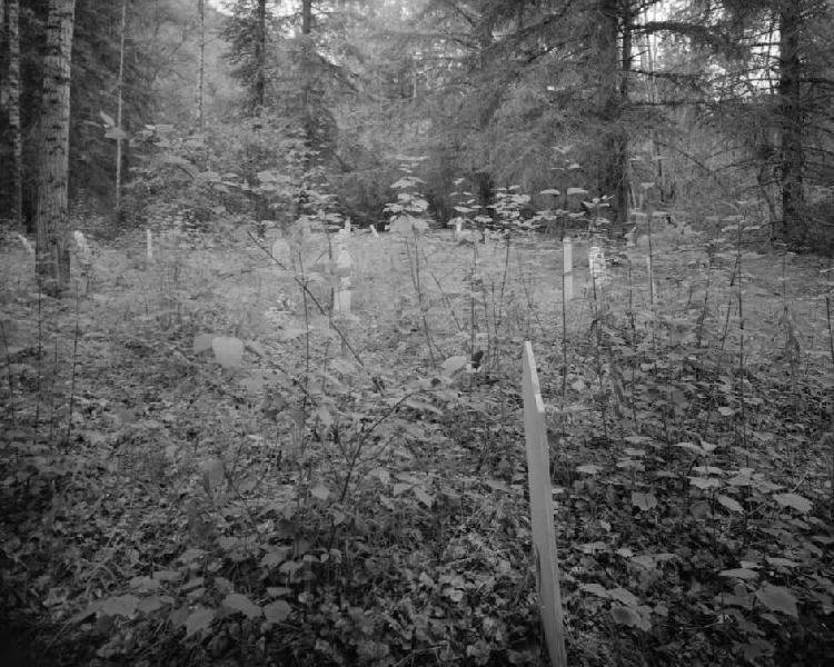 Photo of the Chilkoot Slide Cemetery, looking north