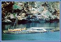 Keiko's pen in Iceland, designed by Fathom23 of Washington State