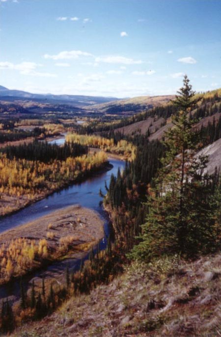 Looking up the Mosquito Fork River from the Cowden Gold Dredge overlook near Chicken, Alaska, in September 1999.