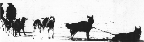 The last RCMP sled dog patrol, 1969