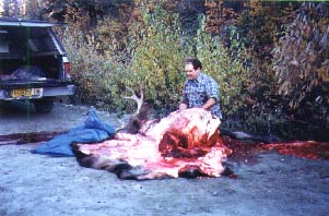 In Alaska, the Lord may provide a moose in the 
middle of the road so you can stock up the freezer for the winter