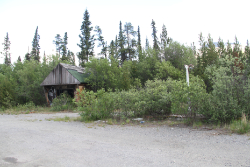 , in 2017