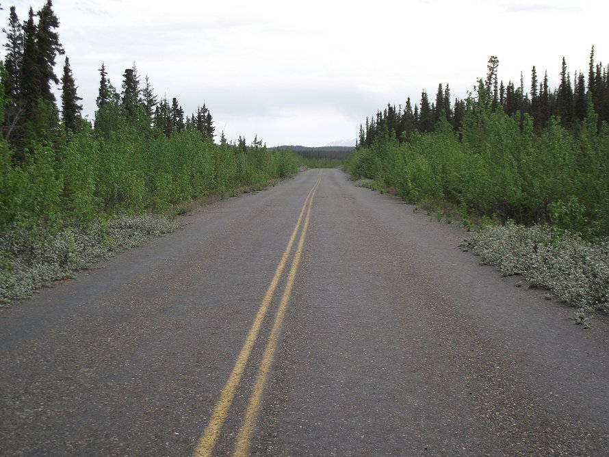 An abandoned section of the Alaska Highway along the Kluane River.