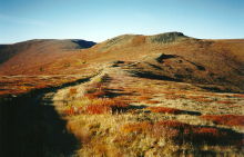 Side road off the Top of the World Highway, Yukon
