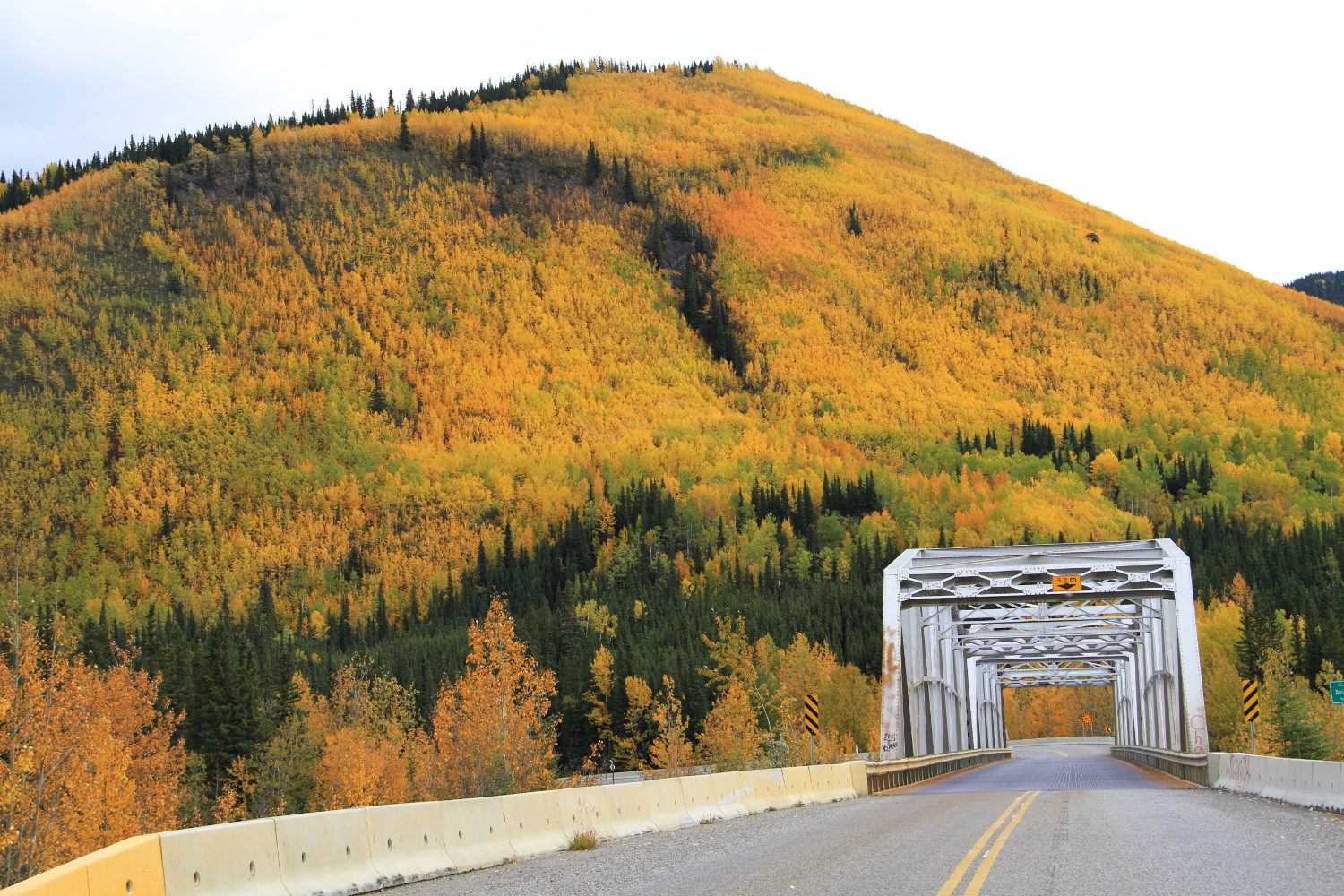 Approaching the Racing River Bridge at Km 641.6 from the north in mid September.