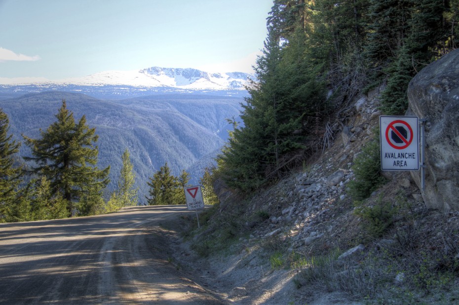 The start of an avalanche area on the Bella Coola hill