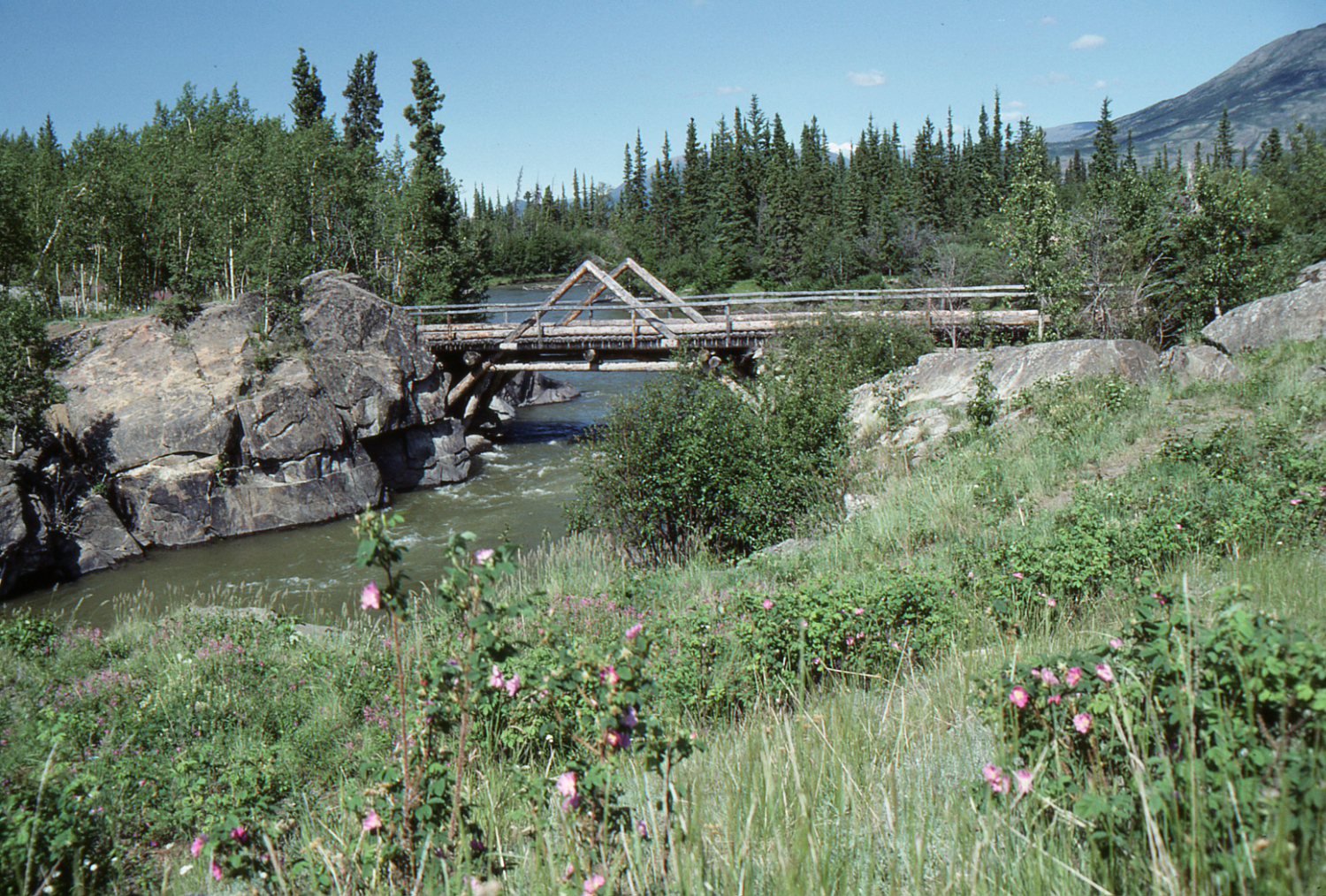 Canyon Creek bridge, Yukon