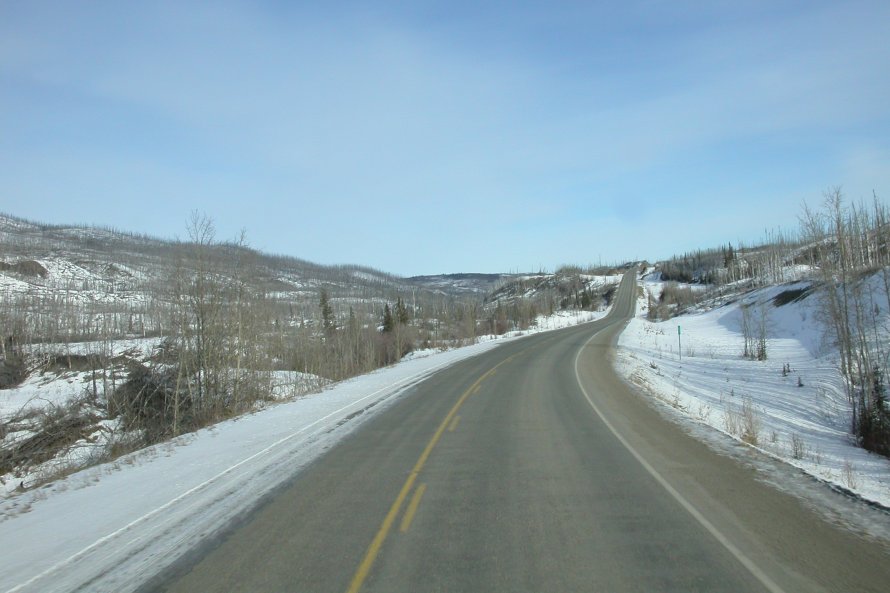 Fox Lake forest fire zone, 7 years after the fire
