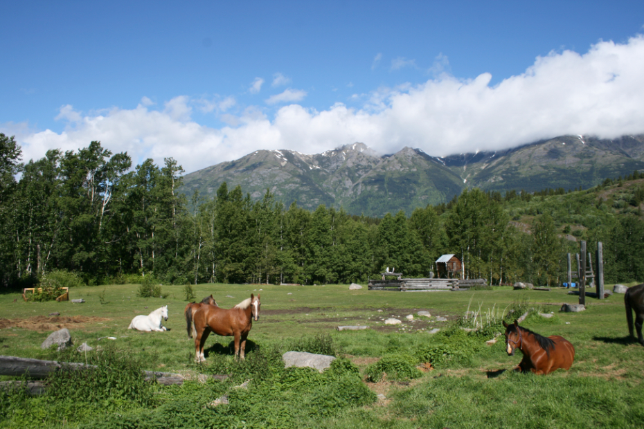 Glenora Guest Ranch, Stikine River, BC