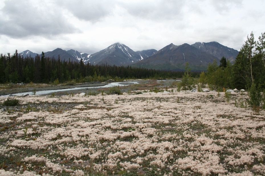 Quill Creek, Haines Highway, Yukon