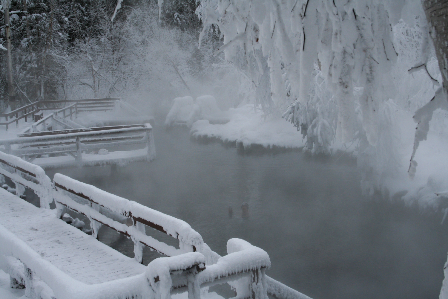 Winter at Liard Hot Springs, Alaska Highway