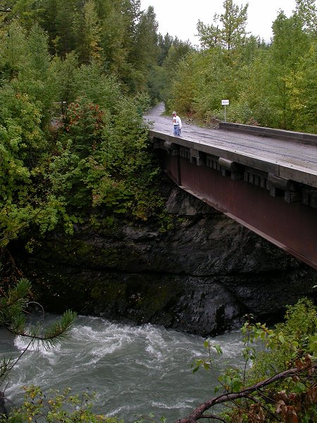 A photo of a bridge on the Nass Forest Service Road.
