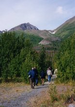 Rock Glacier Trail - Kluane National Park, Yukon
