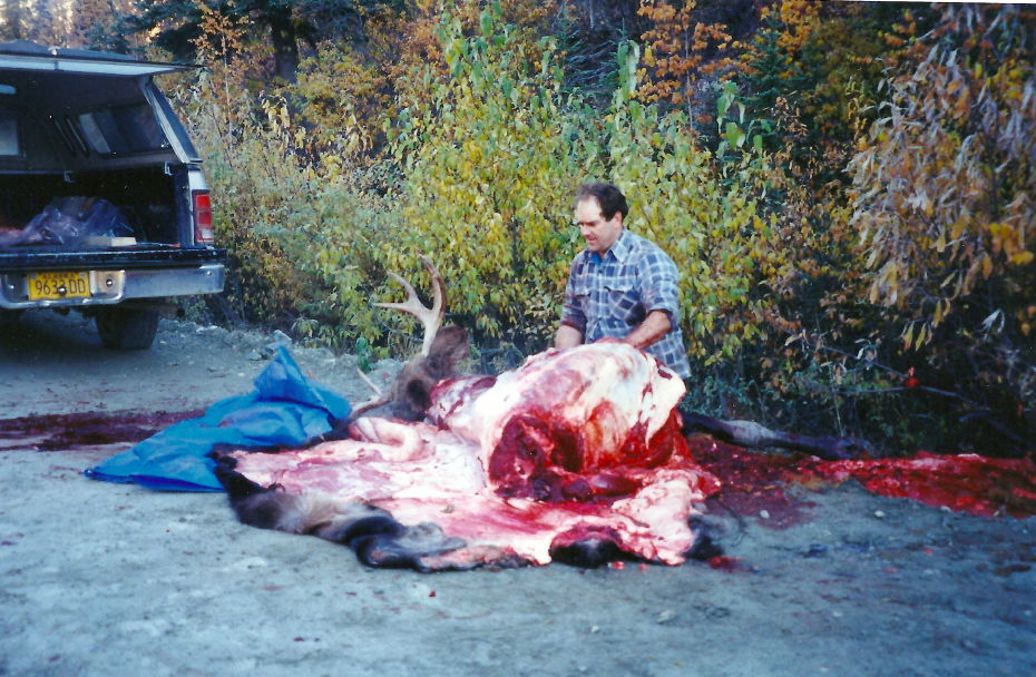 Moose hunt along the Taylor Highway, Alaska