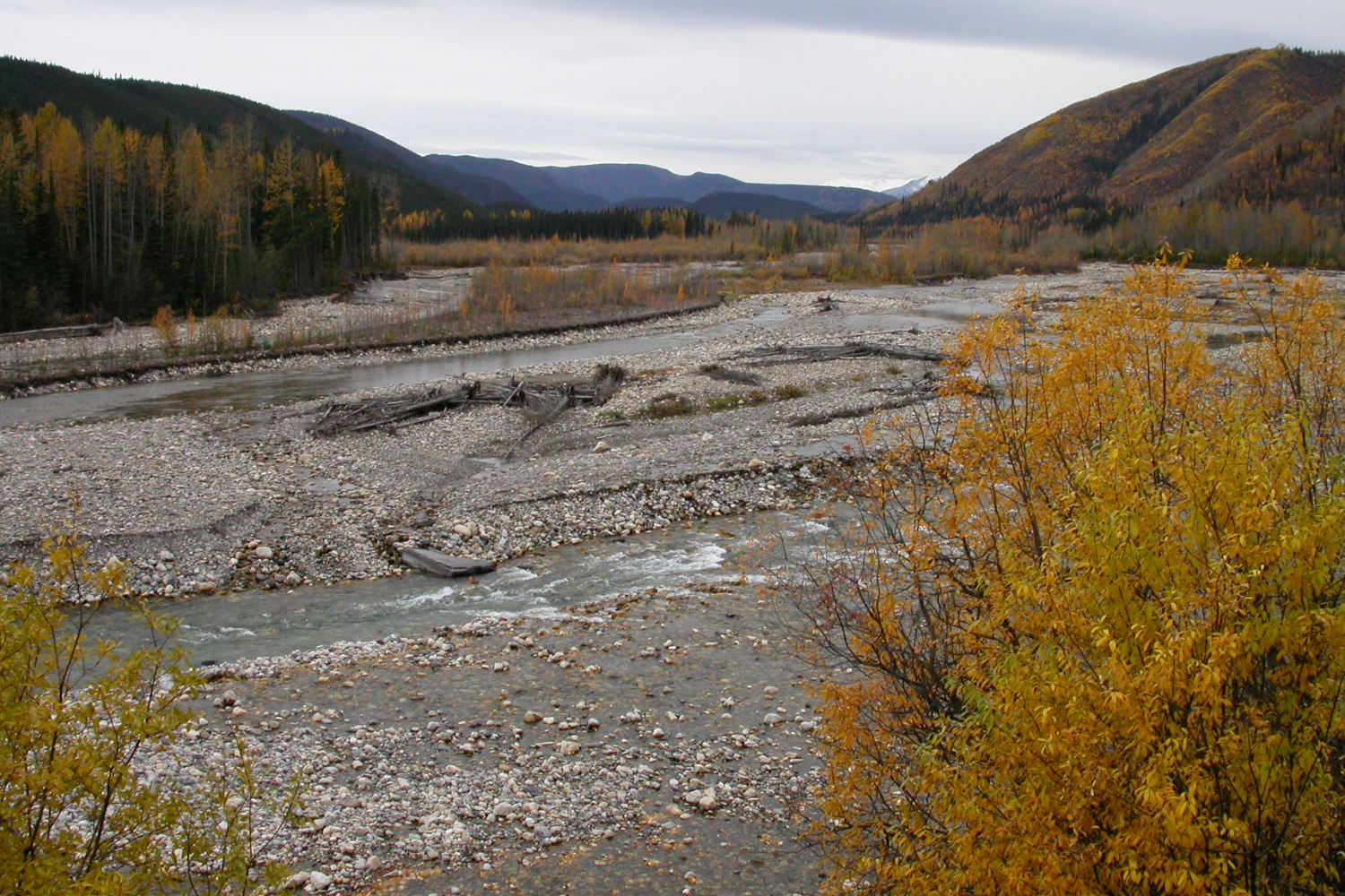 The Tetsa River at about Km 573 of the Alaska Highway as seen in early October.