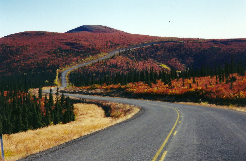 Fall colours along the Top of the World Highway, Yukon