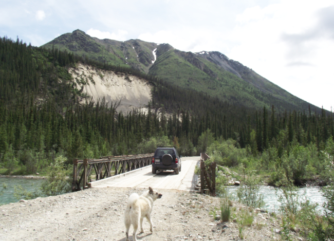 The Wheaton River Bailey bridge, Yukon, 2011