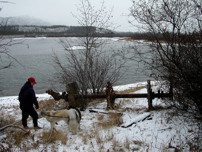 The remains of the Clara Monarch in Whitehorse, Yukon, in 2002