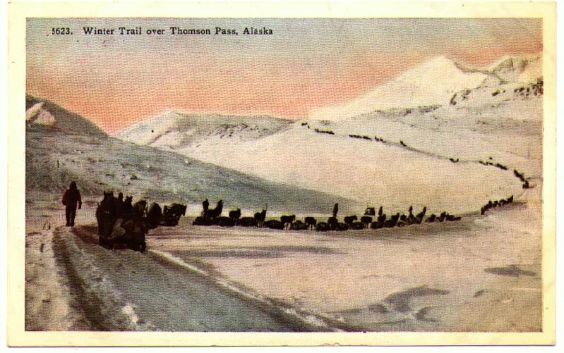 Horse and dog teams crossing Thompson Pass, Alaska in the winter, ca. 1919.