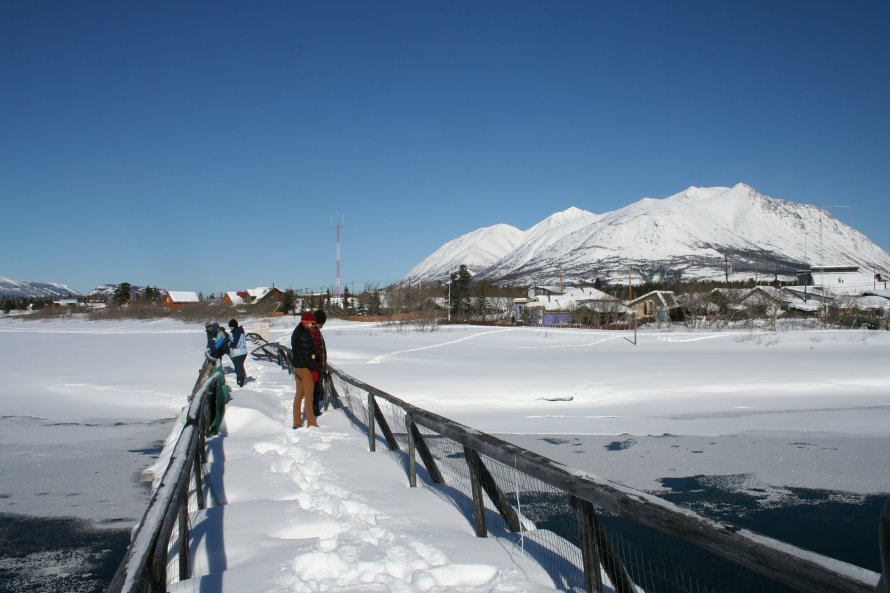 Construction of a new steel footbridge at Carcross, Yukon, in 2007