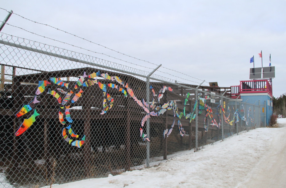 Stream of Dreams mural in Whitehorse, Yukon