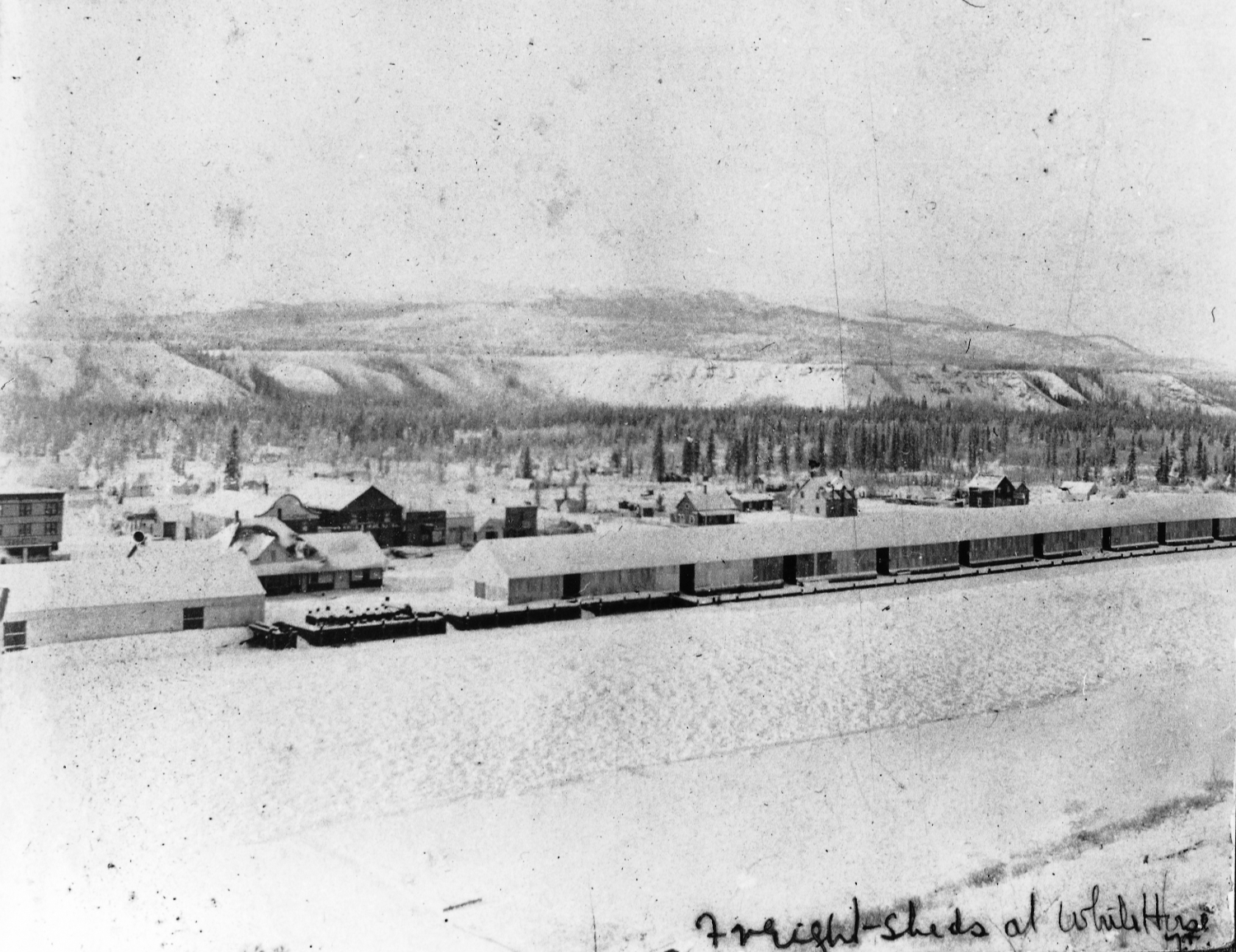 Freight sheds along the Yukon River at Whitehorse, Yukon Territory, 1900