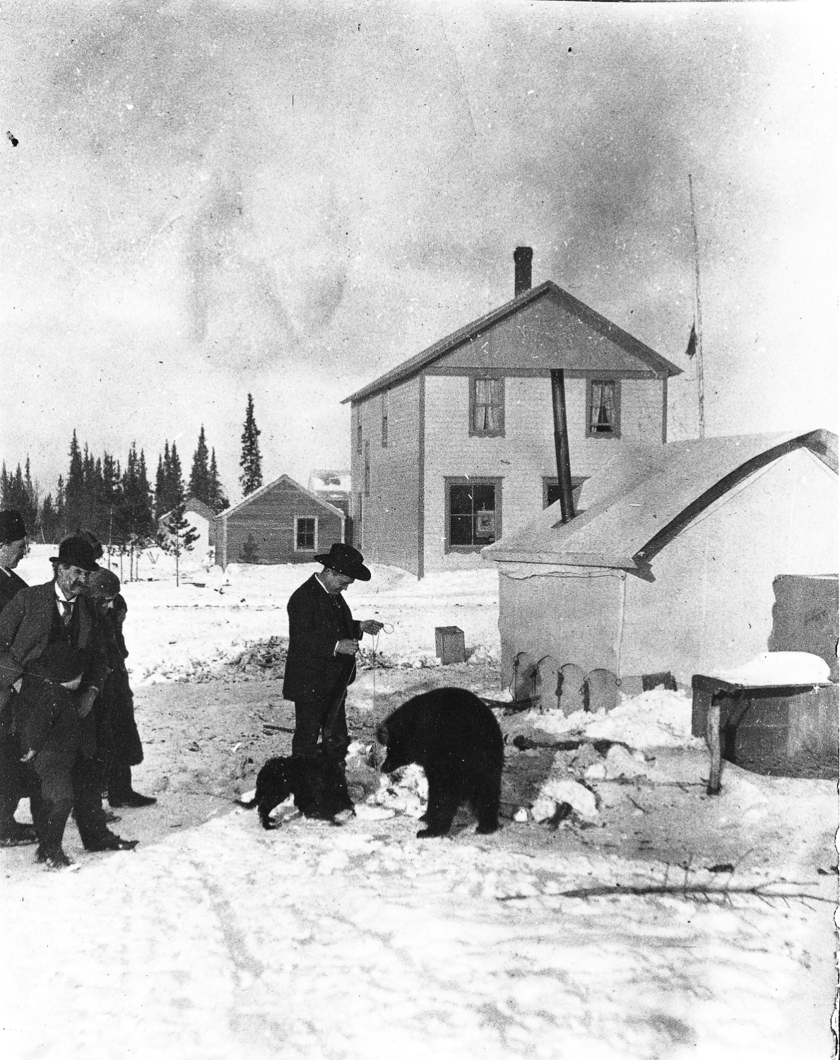 A man with a pet black bear - Whitehorse, Yukon Territory, 1900