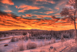 Spectacular winter sunrise along the Alaska Highway at Whitehorse 