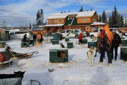 The dog yard at Muktuk Guest Ranch